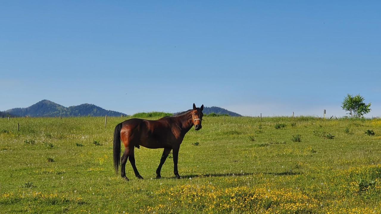 Vila Doliny Konska  Bagian luar foto