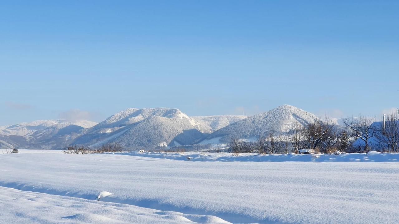 Vila Doliny Konska  Bagian luar foto